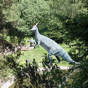 slaski ogrod zoologiczny