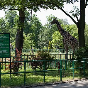 slaski ogrod zoologiczny