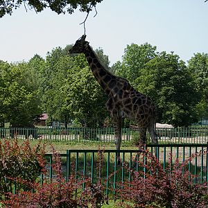 slaski ogrod zoologiczny