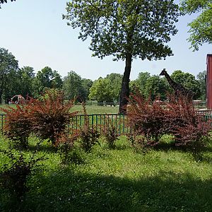 slaski ogrod zoologiczny