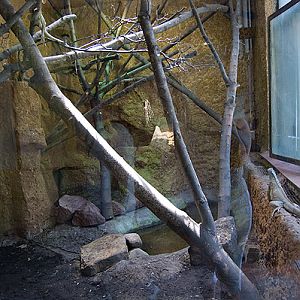 slaski ogrod zoologiczny