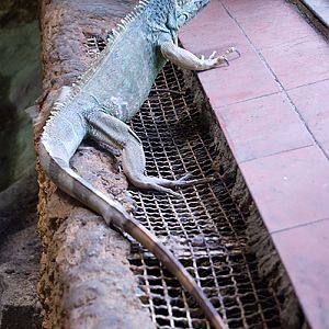 slaski ogrod zoologiczny