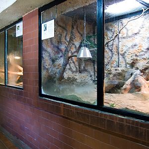 slaski ogrod zoologiczny