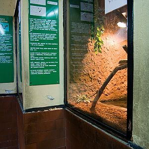 slaski ogrod zoologiczny