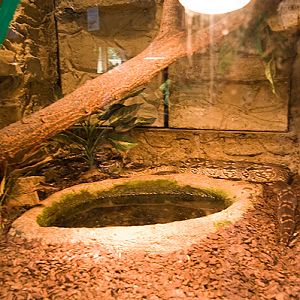 slaski ogrod zoologiczny