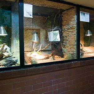 slaski ogrod zoologiczny