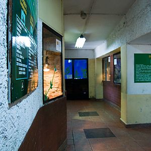 slaski ogrod zoologiczny