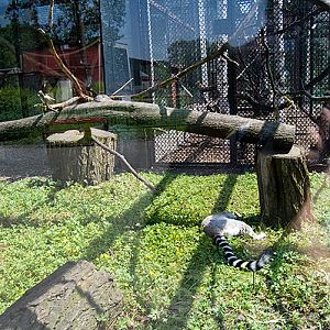 slaski ogrod zoologiczny