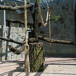 slaski ogrod zoologiczny