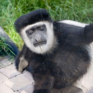 slaski ogrod zoologiczny