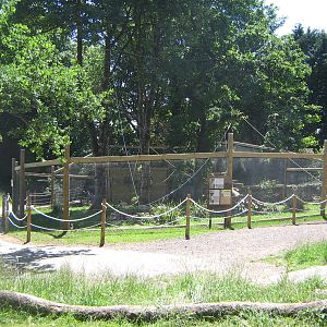 Vervet Monkey Enclosure June 2010
