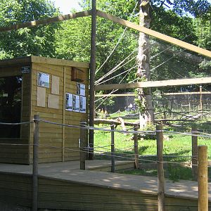 Vervet Monkey Enclosure June 2010