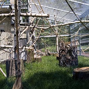 slaski ogrod zoologiczny