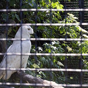 slaski ogrod zoologiczny