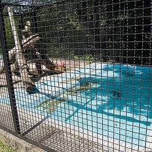 slaski ogrod zoologiczny