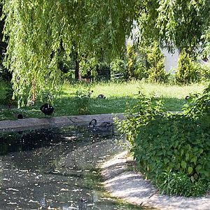 slaski ogrod zoologiczny