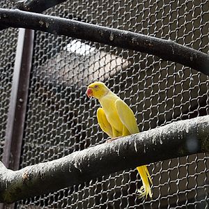 slaski ogrod zoologiczny