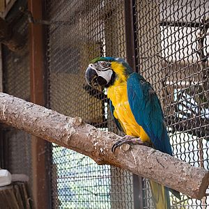 slaski ogrod zoologiczny