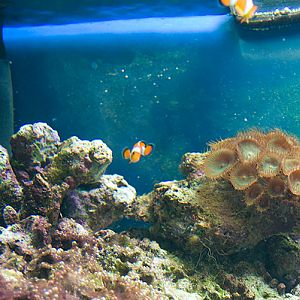 slaski ogrod zoologiczny