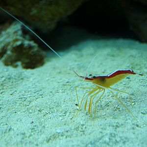 slaski ogrod zoologiczny