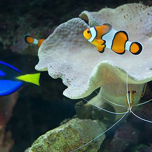 slaski ogrod zoologiczny