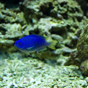 slaski ogrod zoologiczny