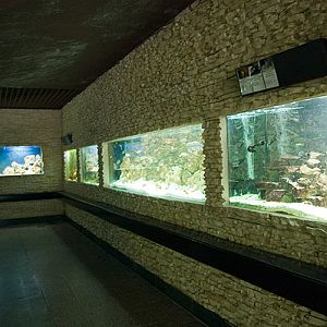 slaski ogrod zoologiczny
