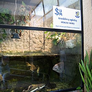 slaski ogrod zoologiczny