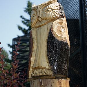 slaski ogrod zoologiczny