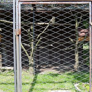 slaski ogrod zoologiczny