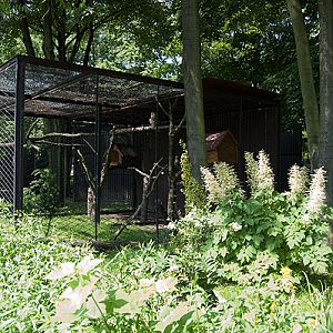 slaski ogrod zoologiczny