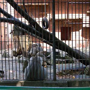 slaski ogrod zoologiczny