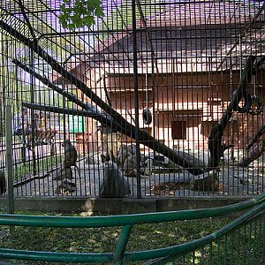 slaski ogrod zoologiczny