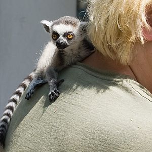 slaski ogrod zoologiczny