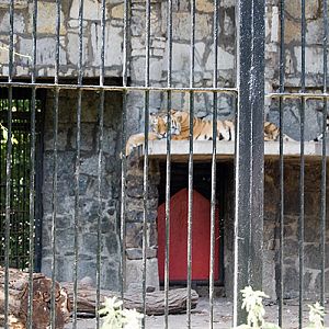 slaski ogrod zoologiczny