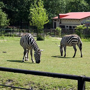 slaski ogrod zoologiczny