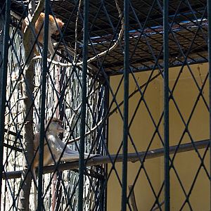 slaski ogrod zoologiczny