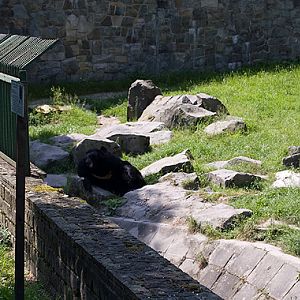 slaski ogrod zoologiczny