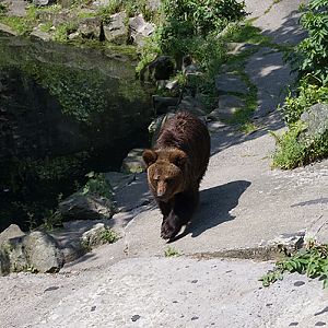 slaski ogrod zoologiczny