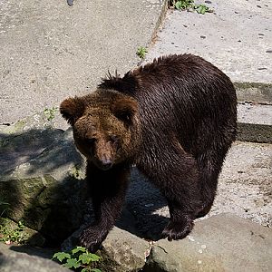slaski ogrod zoologiczny