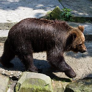 slaski ogrod zoologiczny