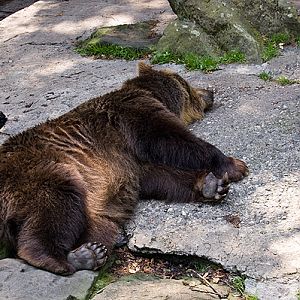 slaski ogrod zoologiczny