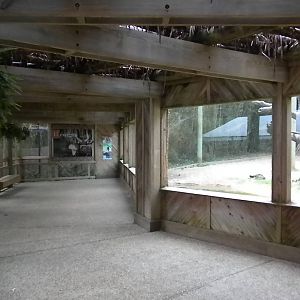 Bongo, Colobus, Duiker Exhibit