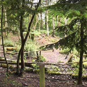Peccary Exhibit May 2010