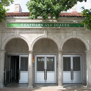 Feathers and Scales - Exterior