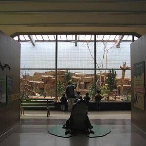 Feathers and Scales - Entrance