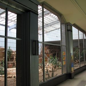 Feathers and Scales - Desert Southwest Bird Exhibit