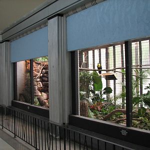 Feathers and Scales - Bird Exhibits