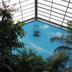 Perching Birds - Walkthrough Aviary