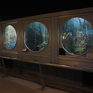 Perching Birds - Exhibit Gallery